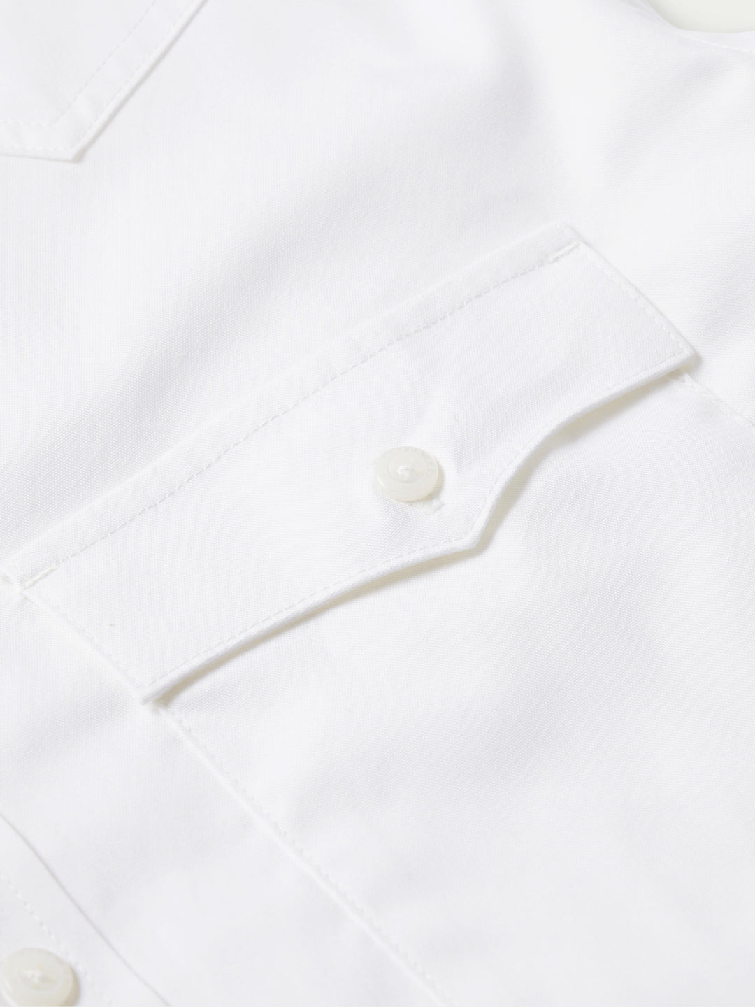 Classic Western Pinpoint Button-Down - Schaefer Outfitter