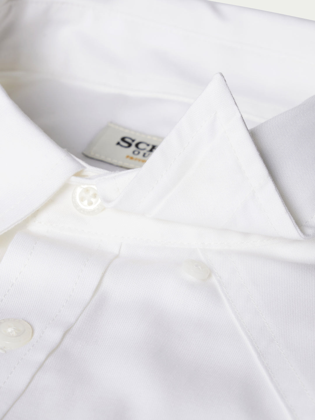 Classic Western Pinpoint Button-Down - Schaefer Outfitter