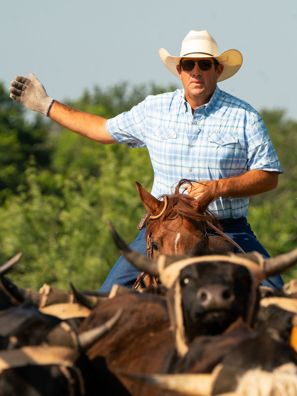 Short Sleeve RangeTek Western Guide Snap Shirt - Schaefer Outfitter