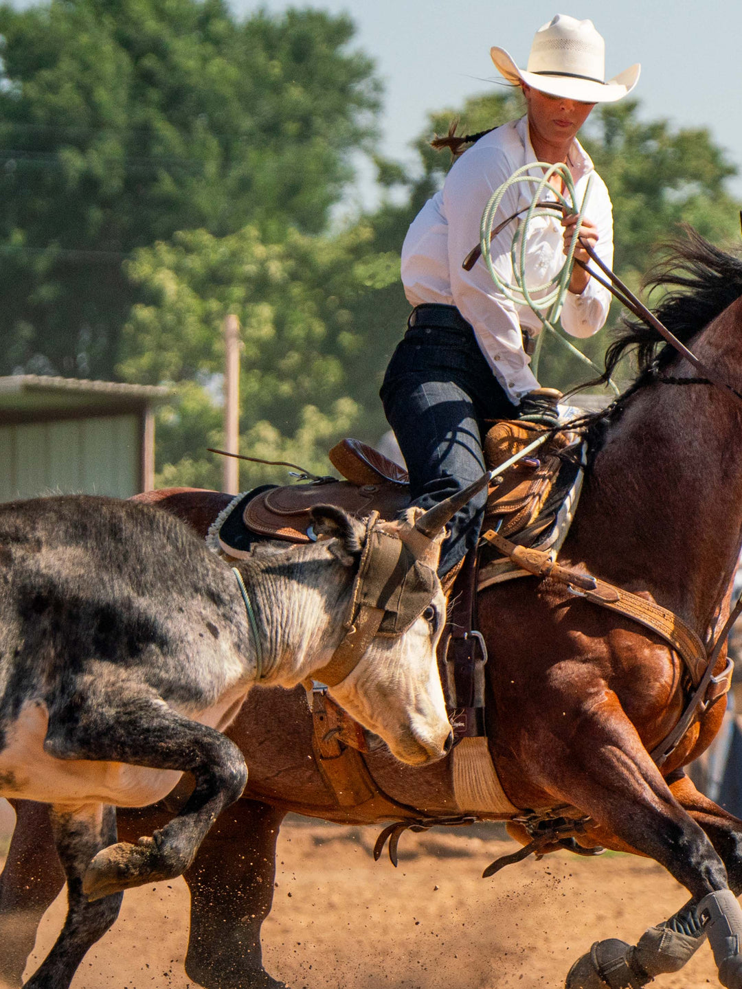 Women's RangeTek Western Guide Snap Shirt - Schaefer Outfitter