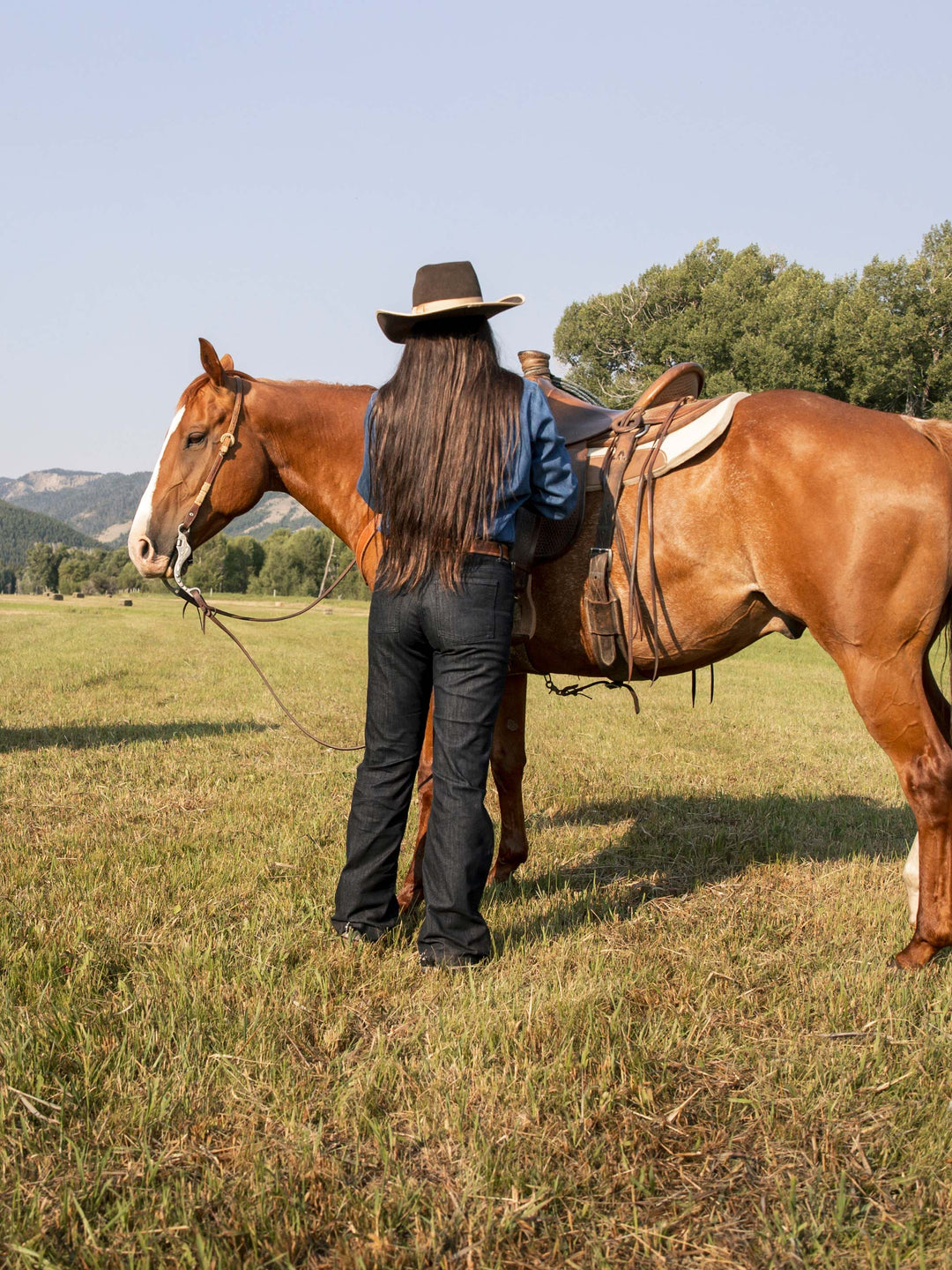 Dallas Jean - Schaefer Outfitter