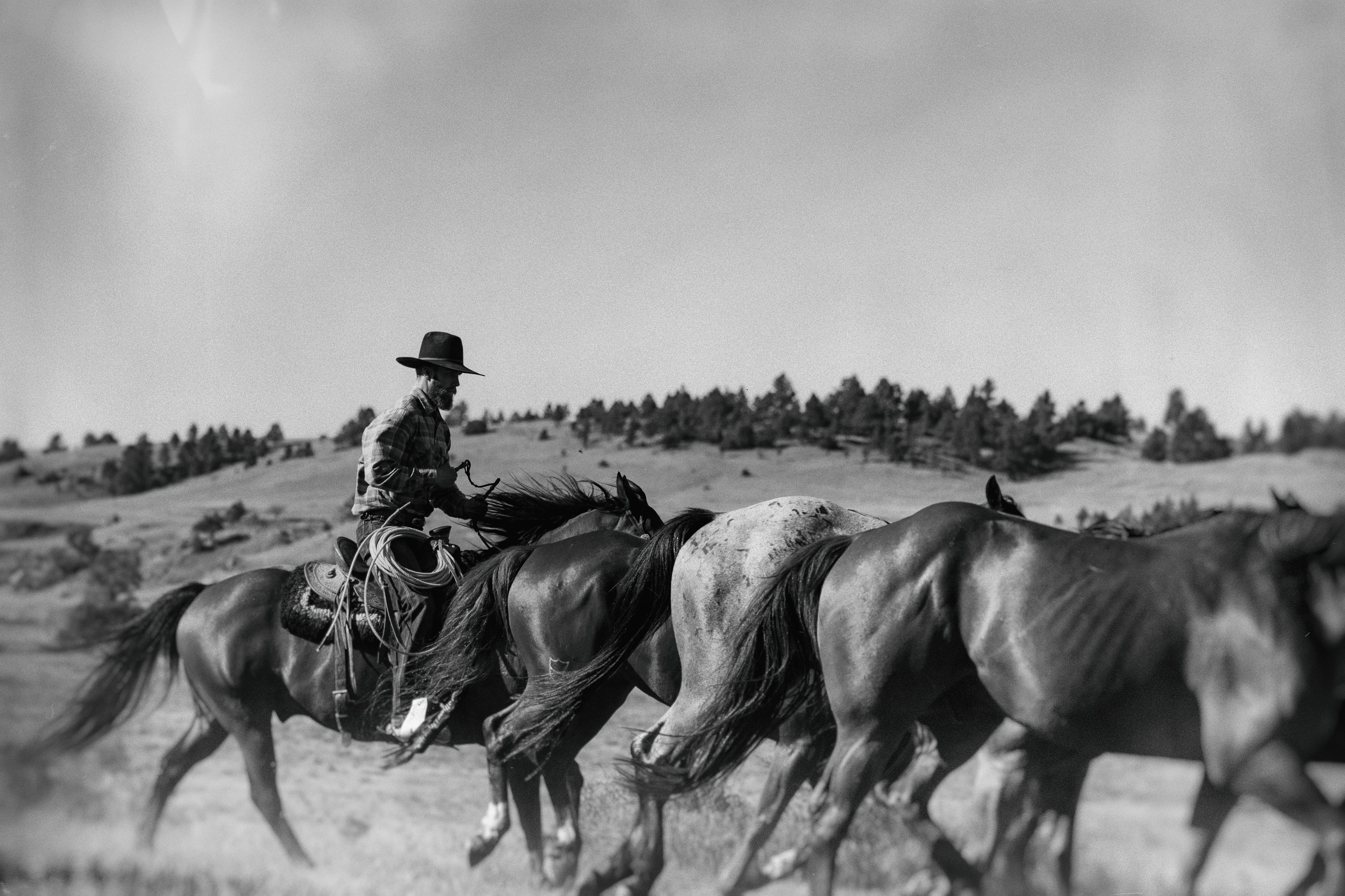 Schaefer Catalog Request Schaefer Outfitter