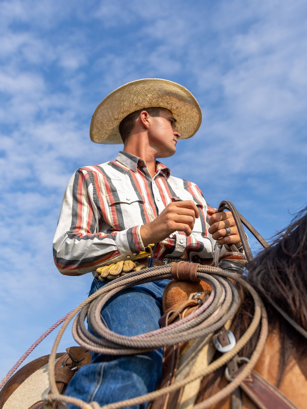 Western Stretch Snap Shirt - Schaefer Outfitter