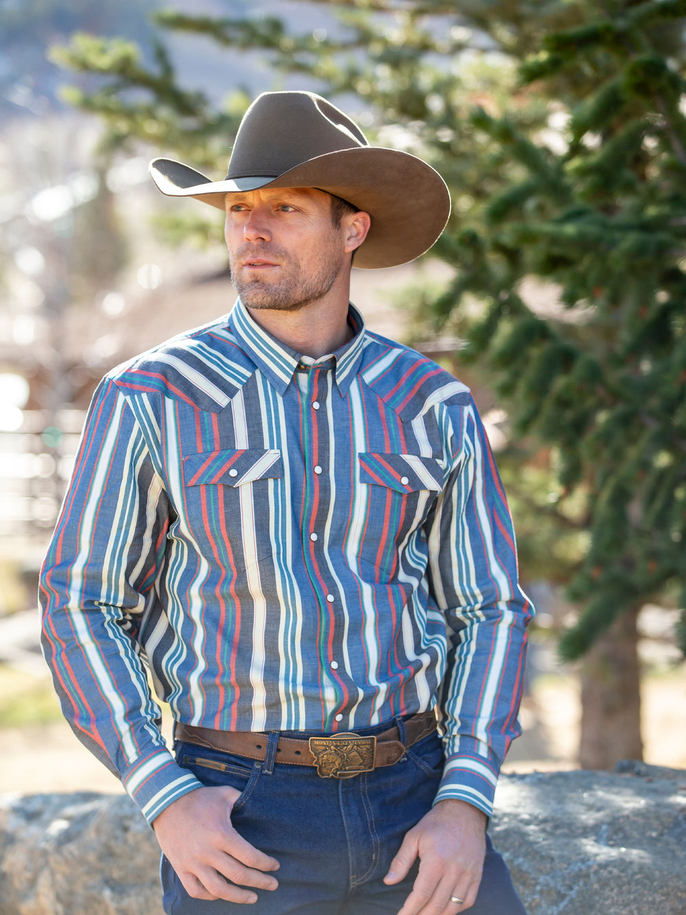 Western Stretch Snap Shirt - Schaefer Outfitter