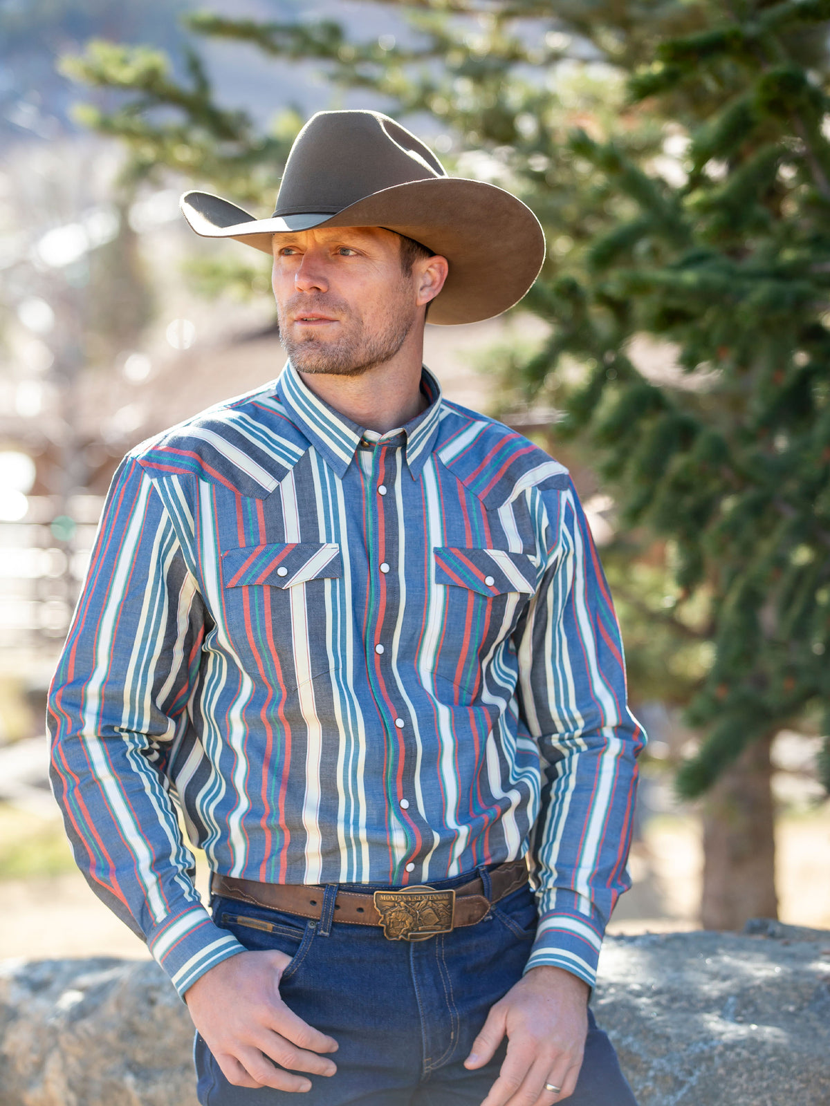 Cowboy wearing Western snap shirt in multicolor vertical stripes with chest pockets