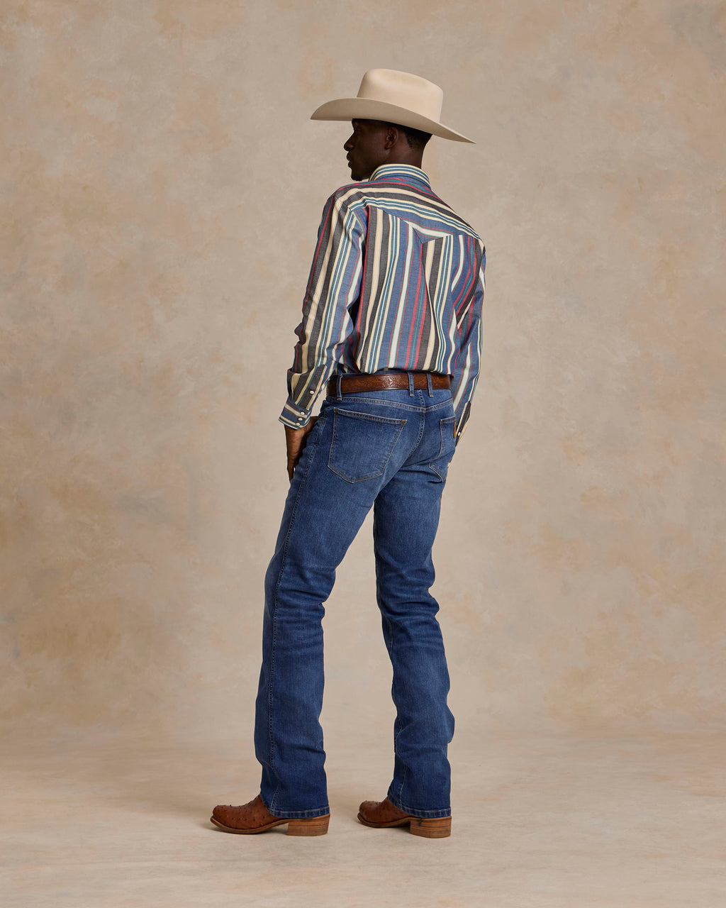 Western stretch snap shirt, multicolor vertical stripe back view with snap placket