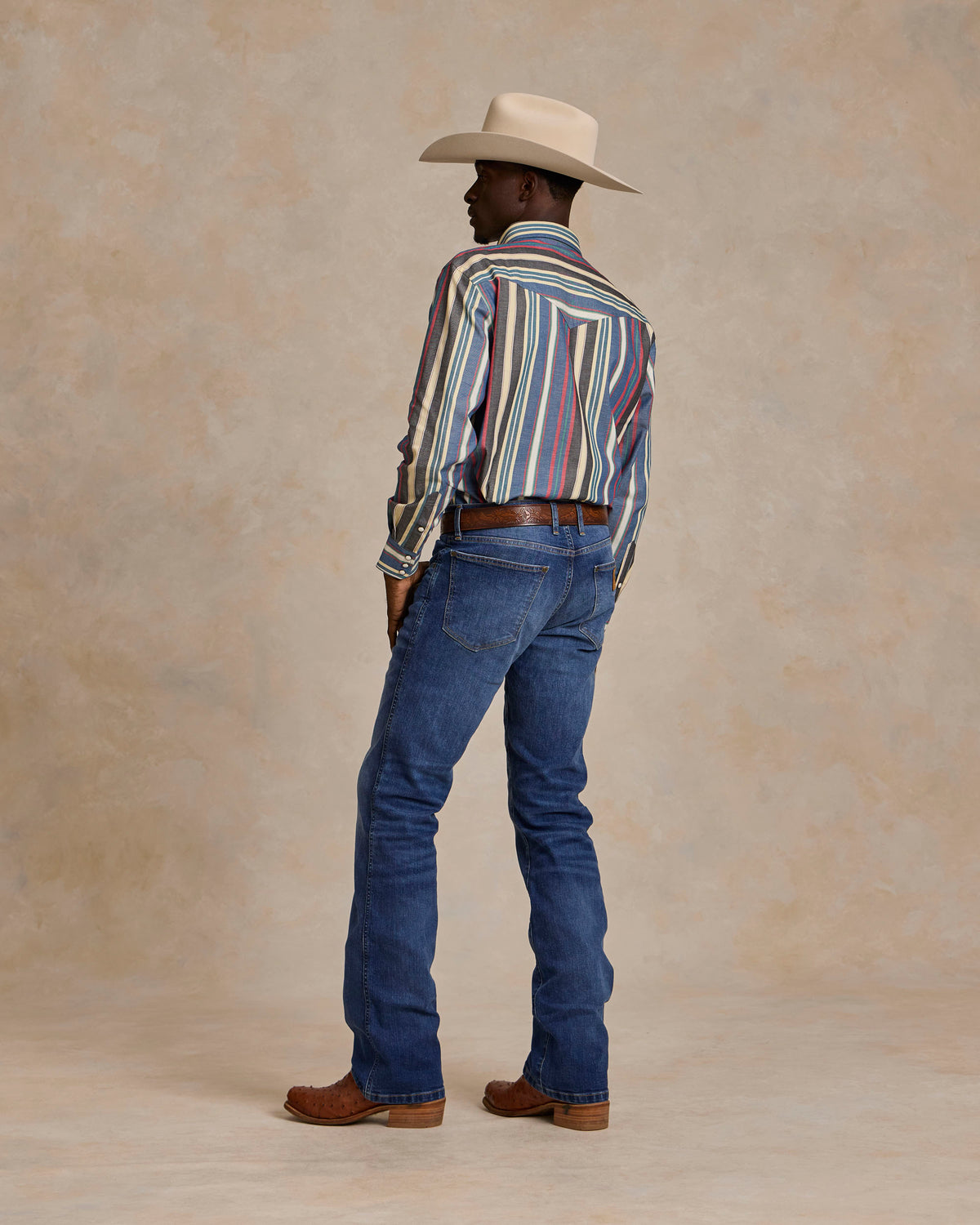 Western stretch snap shirt, multicolor vertical stripe back view with snap placket