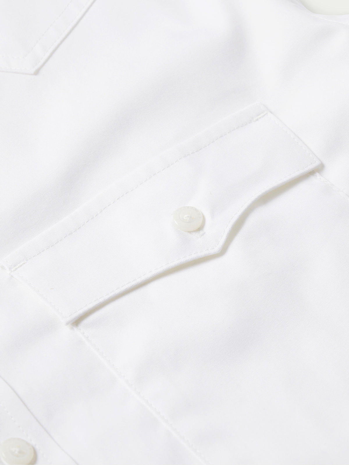 Classic Western Pinpoint Button-Down - Schaefer Outfitter