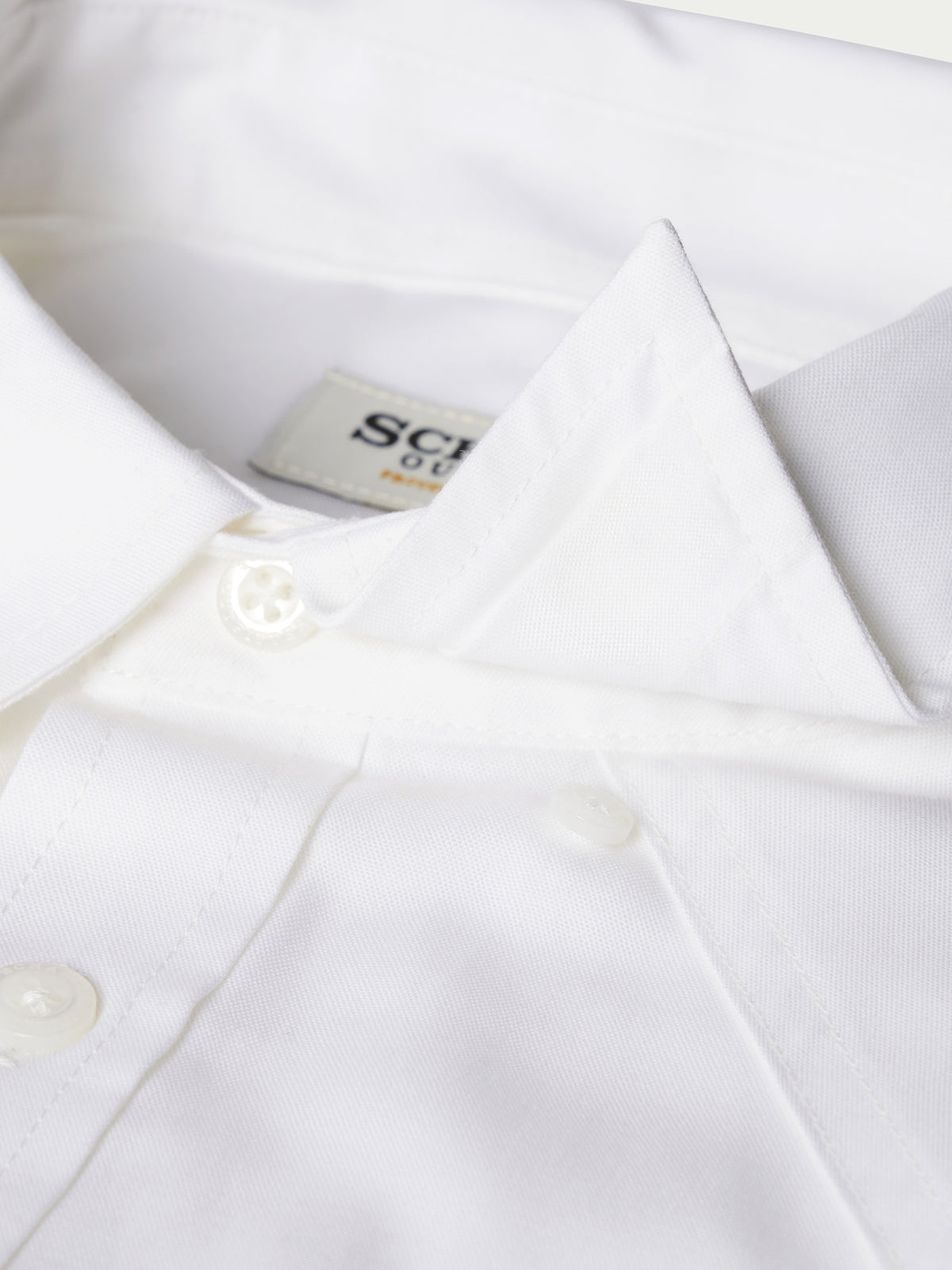 Classic Western Pinpoint Button-Down - Schaefer Outfitter