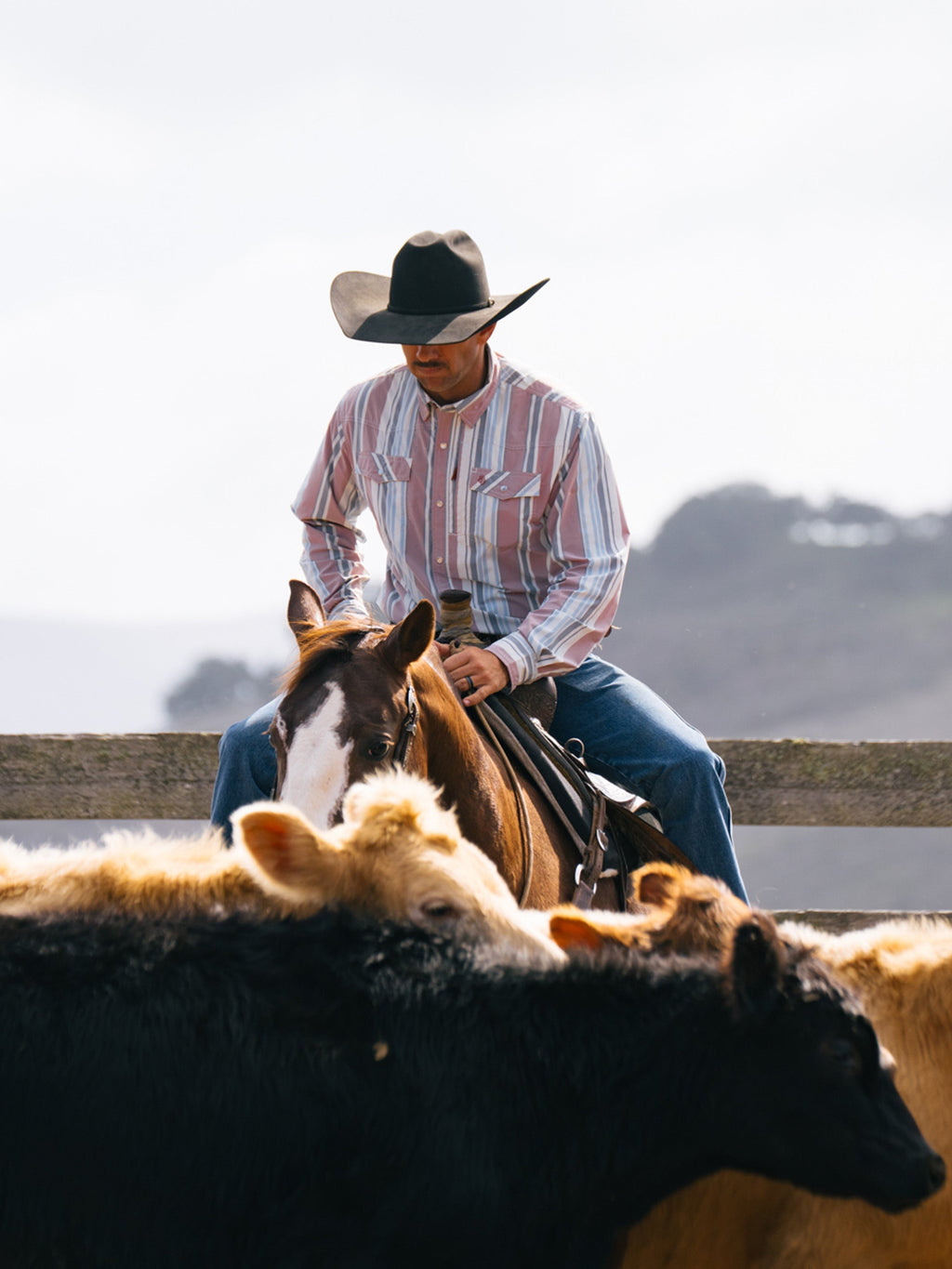 Men’s striped long-sleeve western snap shirt in pink, blue, and white, worn outdoors while seated