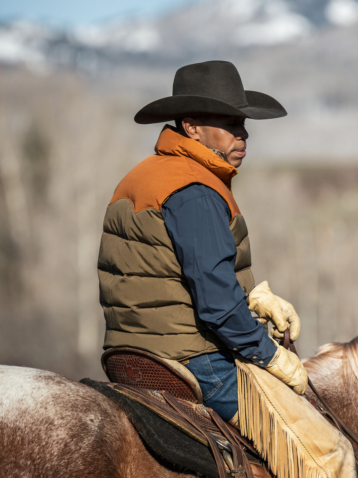 Bozeman Down Vest - Schaefer Outfitter