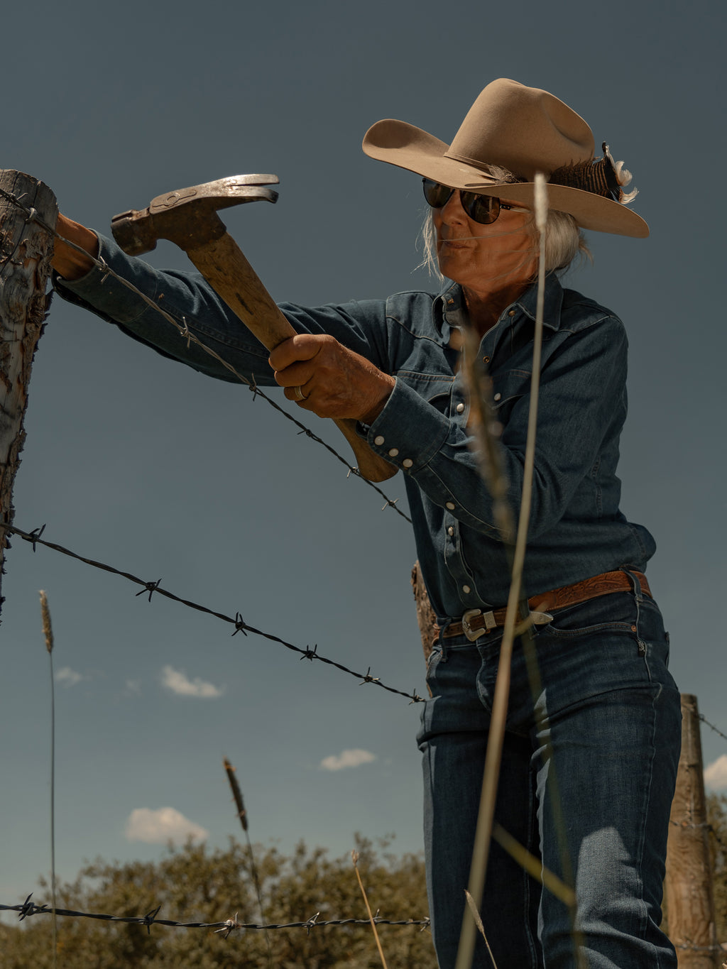 Women's Western Denim Pearl Snap - Schaefer Outfitter