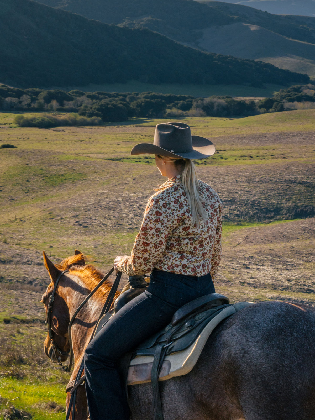 Women's Western Stretch Snap Shirt - Schaefer Outfitter